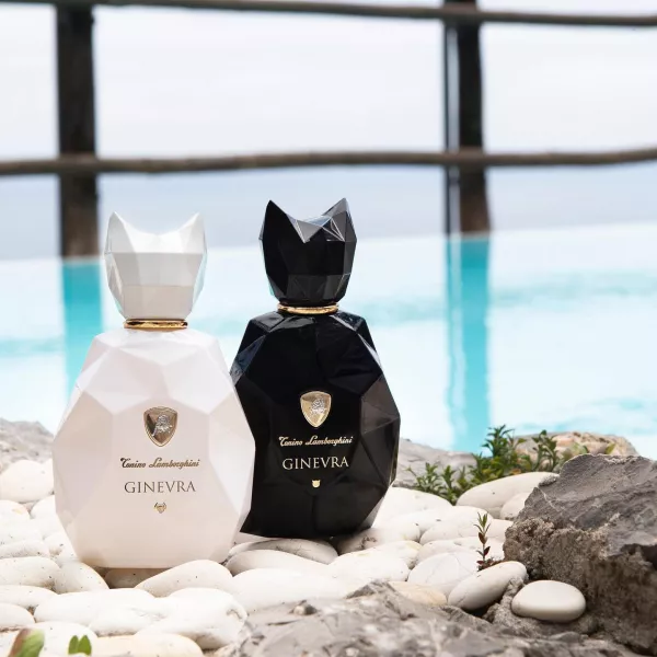 Tonino Lamborghini Ginevra Black Panther ����������� ���� (������)