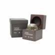 Ramon Molvizar Luna Moon 3ml