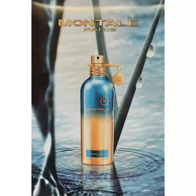 Montale Herbal Aquatica  