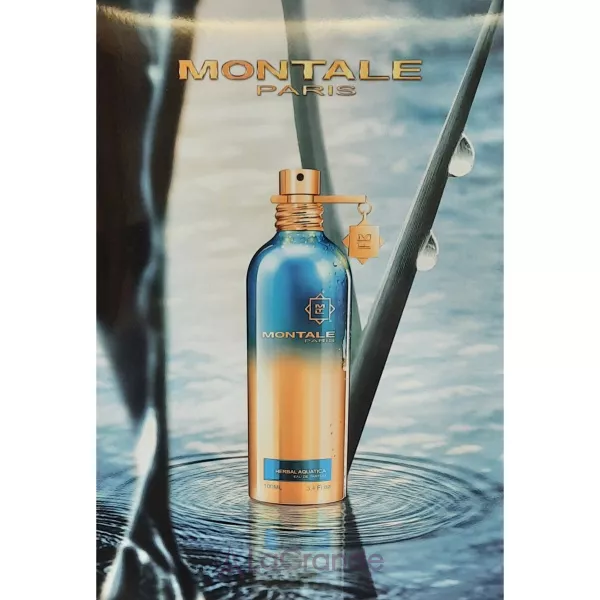 Montale Herbal Aquatica ����������� ���� (������)