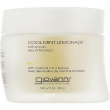 Giovanni Cool Mint Lemonade Salt Scrub 260ml