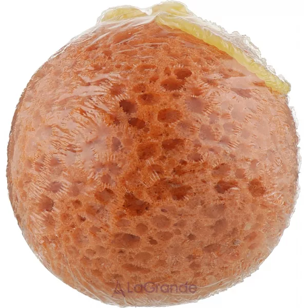 Alma K. Soap Infused Bath Sponge ����� ��� ���� � �����