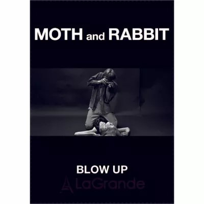 Moth and Rabbit Blow Up  