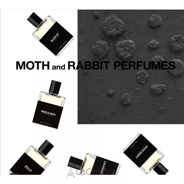 Moth and Rabbit Duke of Burgundy ��������������� ����