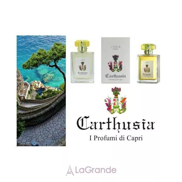 Carthusia Ligea la Sirena �������� ���� (������)