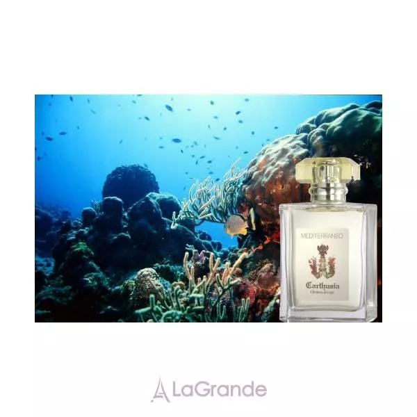 Carthusia Mediterraneo �������� ���� (������)