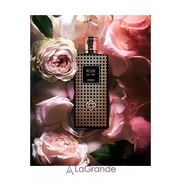 Perris Monte Carlo  Rose de Taif ��������������� ���� (������)