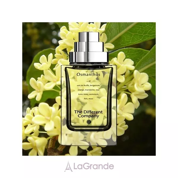 The Different Company Osmanthus �������� ����