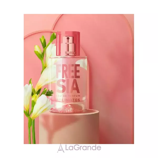 Solinotes Freesia ��������������� ����