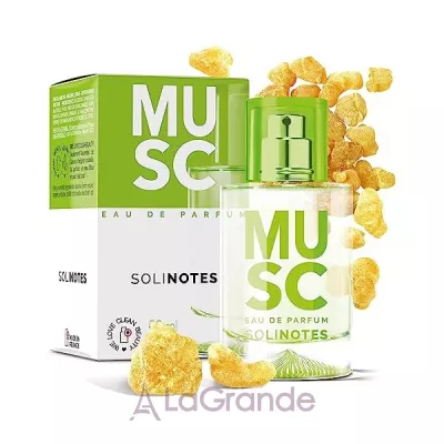 Solinotes Musc   ()