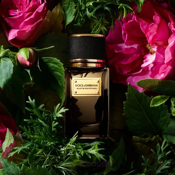Dolce & Gabbana Velvet Black Patchouli ����������� ����