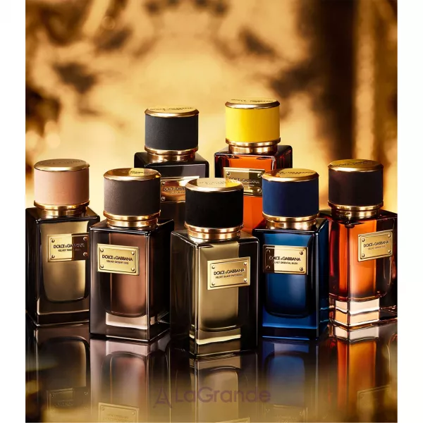 Dolce & Gabbana Velvet Black Patchouli ����������� ����