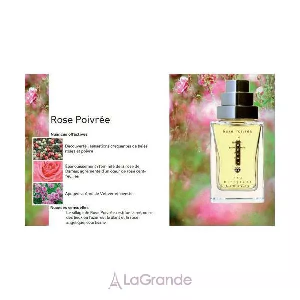 The Different Company Rose Poivree �������� ����