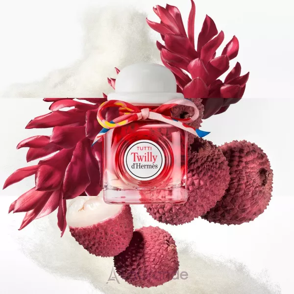 Hermes Tutti Twilly D'Hermes ��������������� ����