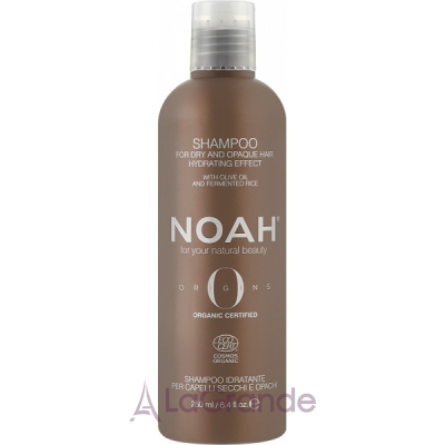 Noah Origins Hydrating Shampoo For Dry Hair     