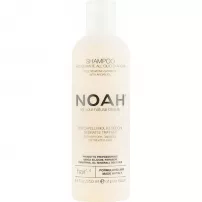 Noah Revitalizing Argan Oil Shampoo ³������������� ������� � ��������� �볺�