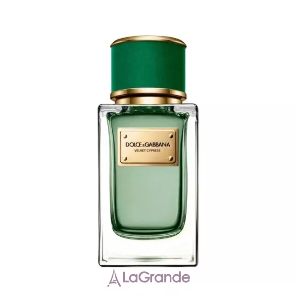 Dolce & Gabbana Velvet Cypress ����������� ���� (������)