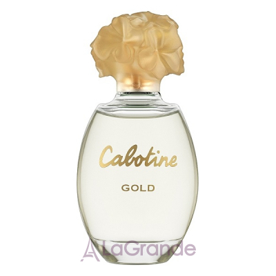 Gres Cabotine Gold   ()