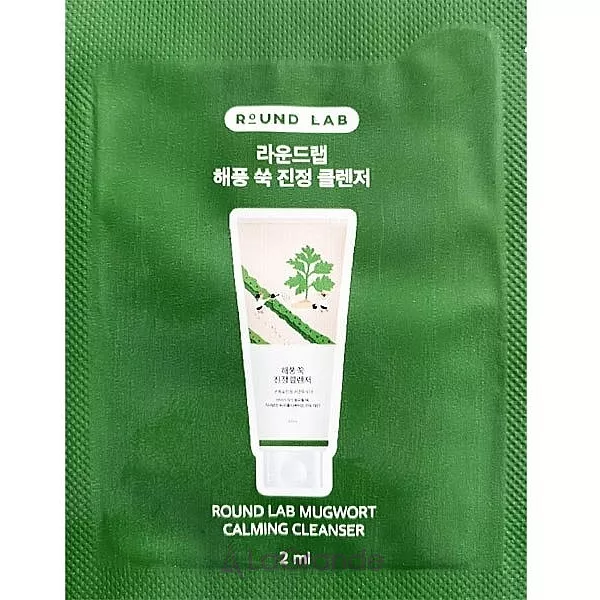 Round Lab Mugwort Calming Cleanser ��������� ����� ��� ���� (������)