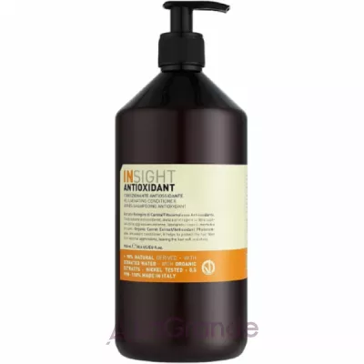 Insight Antioxidant Rejuvenating Shampoo     