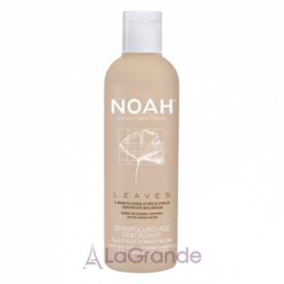 Noah Ginkgo Leaf Firming Shampoo     
