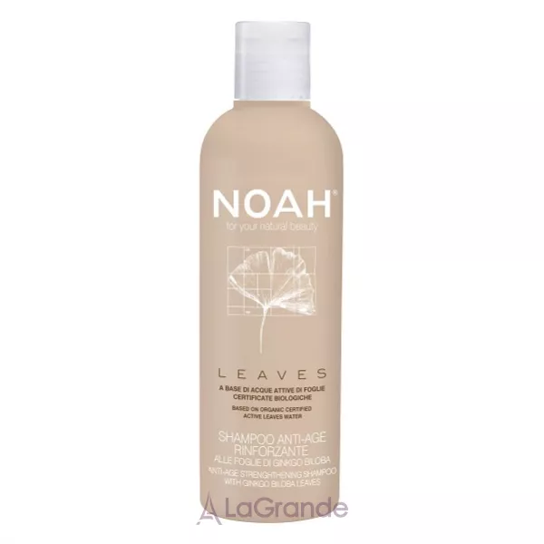 Noah Ginkgo Leaf Firming Shampoo ������������ ������� �� ������ �����