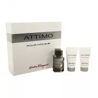 Salvatore Ferragamo Attimo Pour Homme ����� ( ��������� ���� 60 �� + ���� ��� ���� 50 �� + ������� ����� ������ 50 �� )