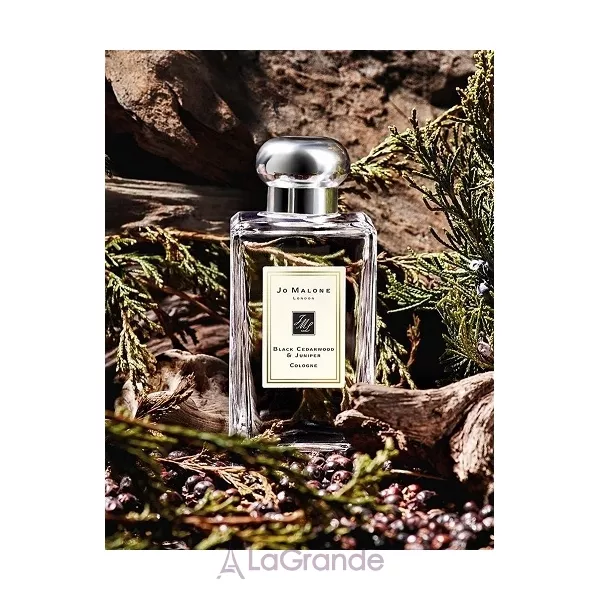 Jo Malone Black Cedarwood & Juniper ��������