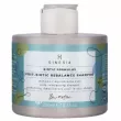 Sinesia Biotic Formulas Post-Biotic Rebalance Shampoo    