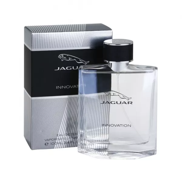 Jaguar Innovation �������� ����
