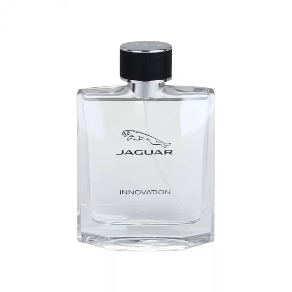 Jaguar Innovation �������� ����