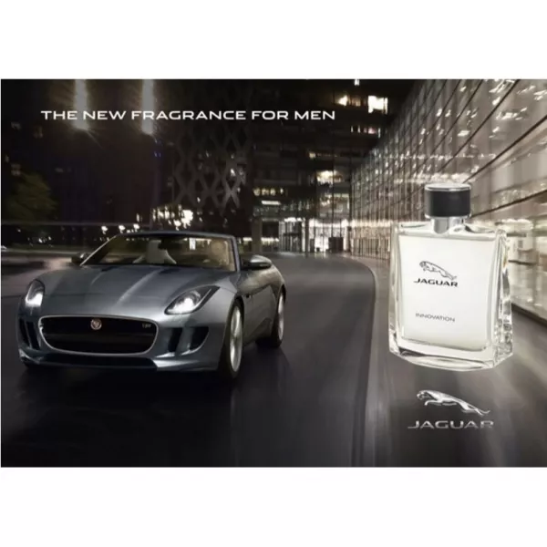 Jaguar Innovation �������� ����