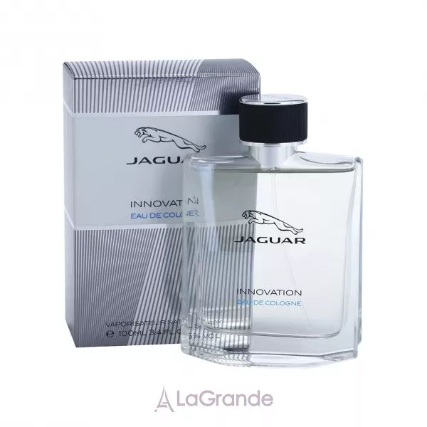 Jaguar Innovation ��������