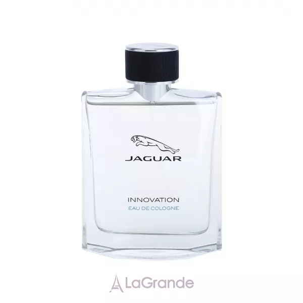 Jaguar Innovation ��������