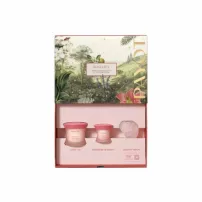 Payot Roselift Collagene Xmas Set ����� (����-������� ��� ���� 50 �� + ����-������� ��� ���� 15 �� + �������� ��� �� ��������� 1 ��.)