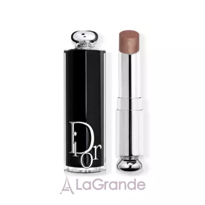 Christian Dior Addict Lipstick   