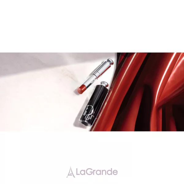 Christian Dior Addict Lipstick ������ ��� ���