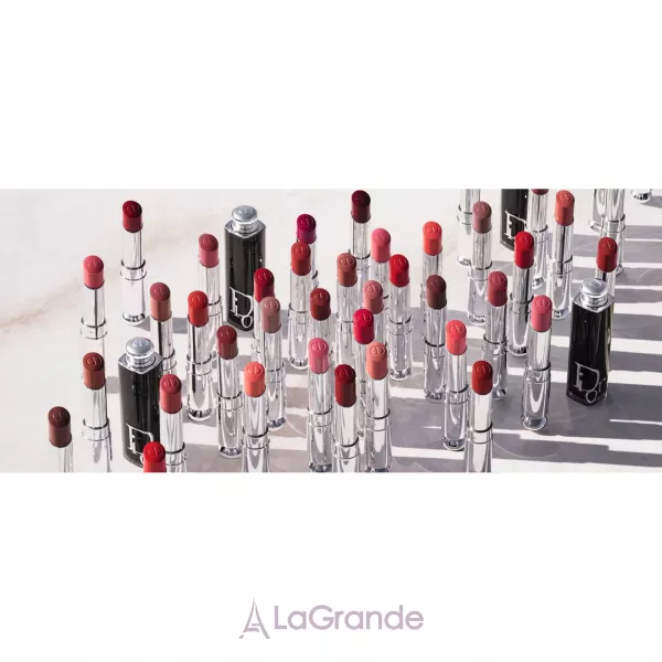 Christian Dior Addict Lipstick ������ ��� ���