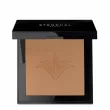 Stendhal Perfecting Compact Powder    