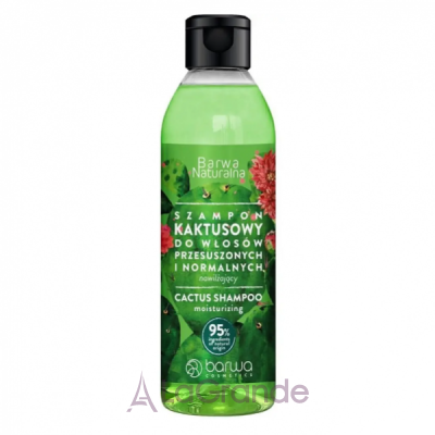 Barwa Cosmetics Natural Cactus Shampoo     