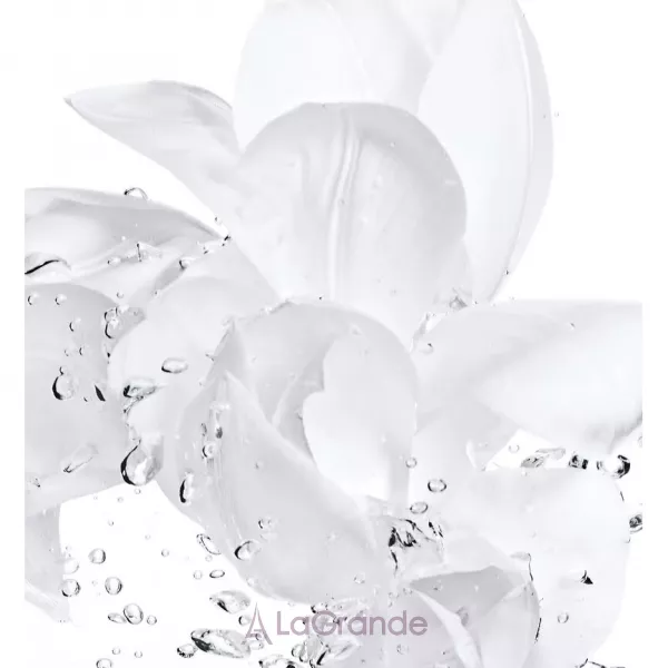 Christian Dior Hydra Life Balancing Hydration 2 in 1 Sorbet Water ����������� ������ ��� ����
