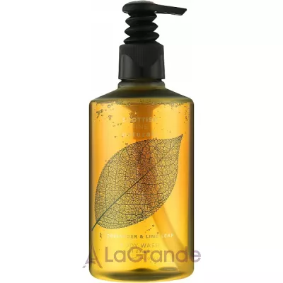 Scottish Fine Soaps Naturals Coriander & Lime Leaf Body Wash    