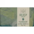 Scottish Fine Soaps Sea Kelp Cleansing Bar    