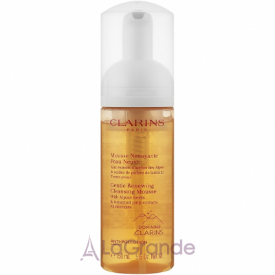 Clarins Gentle Renewing Cleansing Mousse     -  