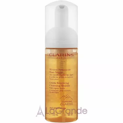 Clarins Gentle Renewing Cleansing Mousse       