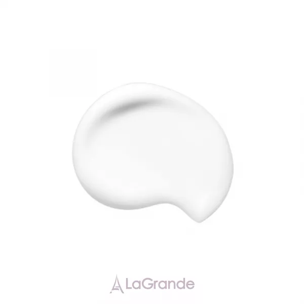 Shiseido Synchro Skin Soft Blurring Primer ������ �� ����� � ������� �������