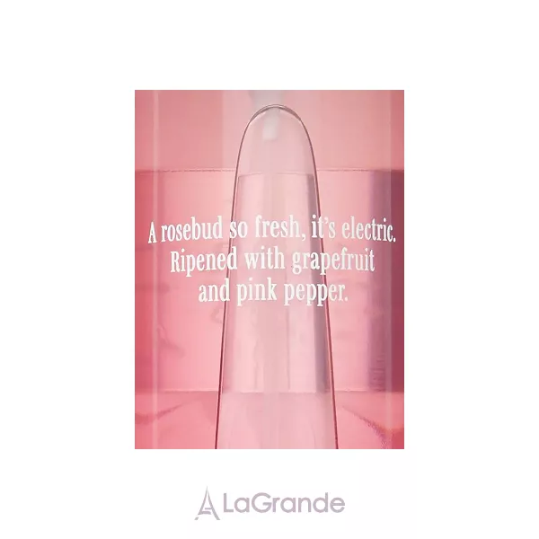 Victoria`s Secret Petal Buzz ������������ ����� ��� ���