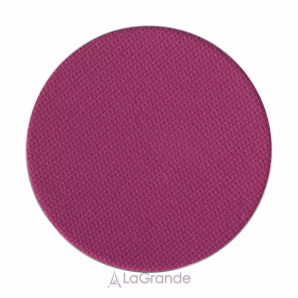 Pierre Rene Matte Eyeshadow PRO Pallette Match System ҳ�� ��� ����