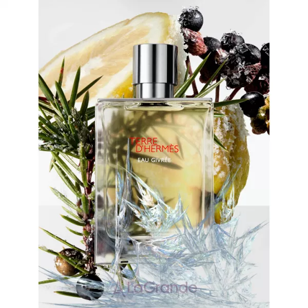 Hermes Terre D'Hermes Eau Givree ��������������� ���� (refill) (������)