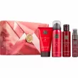 Rituals The Ritual of Ayurveda Rebalancing Treat  (b/cr/70ml + sh/gel/50ml + mist/20ml + b/oil/75ml)
